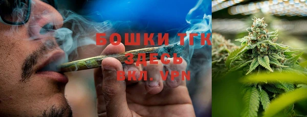 PSILOCYBIN Елабуга