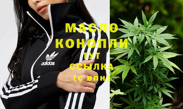 apvp Ельня