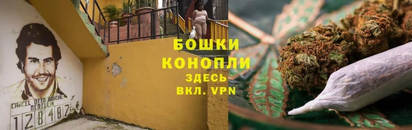 гашик Елизово