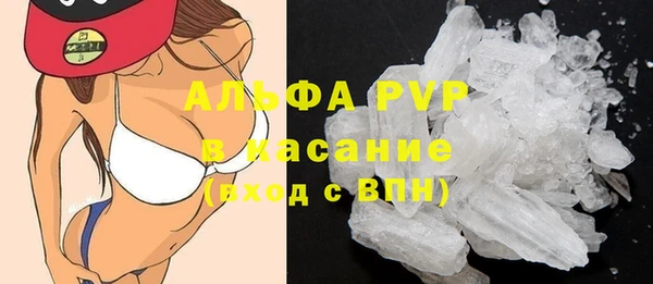 гашик Елизово