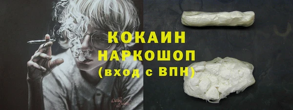 PSILOCYBIN Елабуга