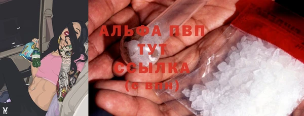PSILOCYBIN Елабуга