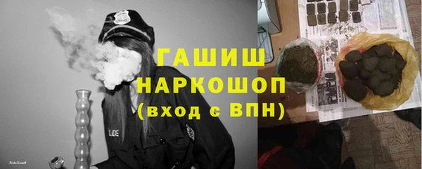 гашик Елизово