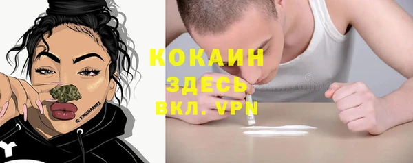 PSILOCYBIN Елабуга