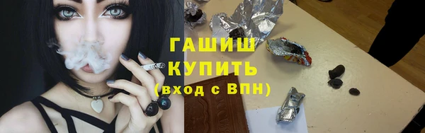 apvp Ельня