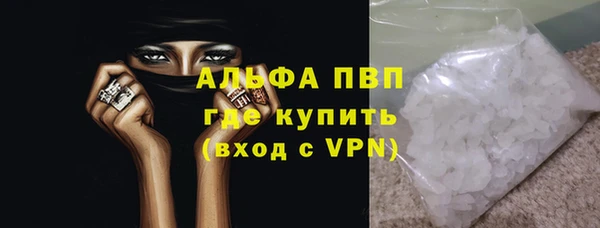 PSILOCYBIN Елабуга