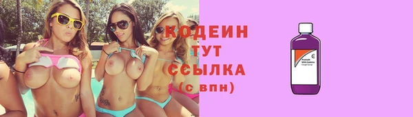 гашик Елизово