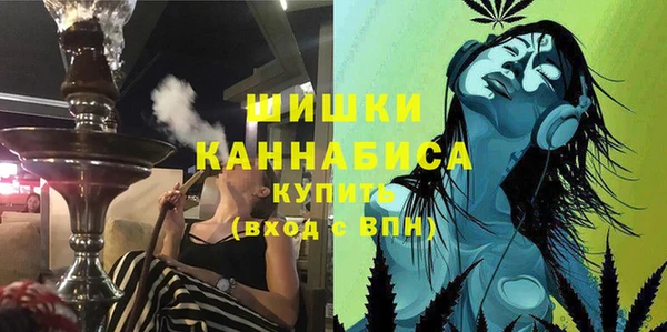 apvp Ельня