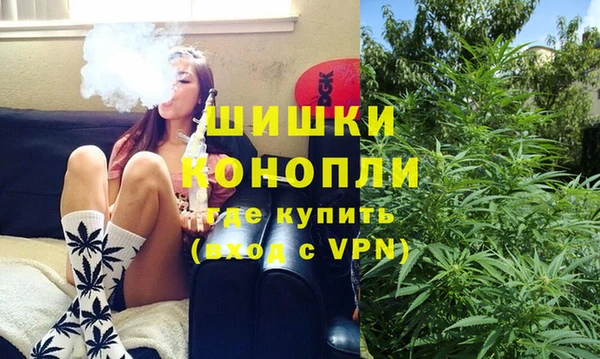 apvp Ельня