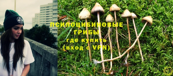 apvp Ельня