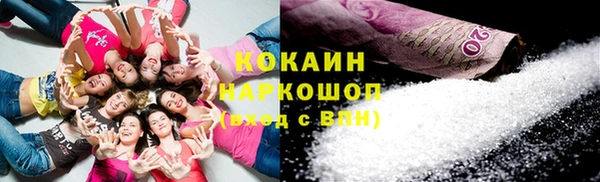 apvp Ельня