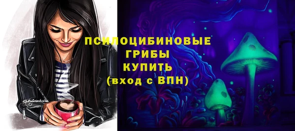 гашик Елизово