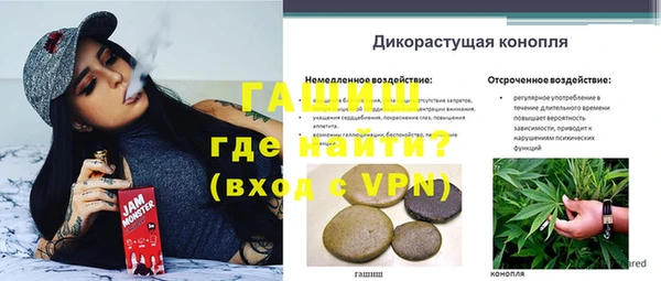 гашик Елизово