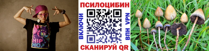 сколько стоит  MEGA вход  Галлюциногенные грибы Psilocybe  Обнинск 